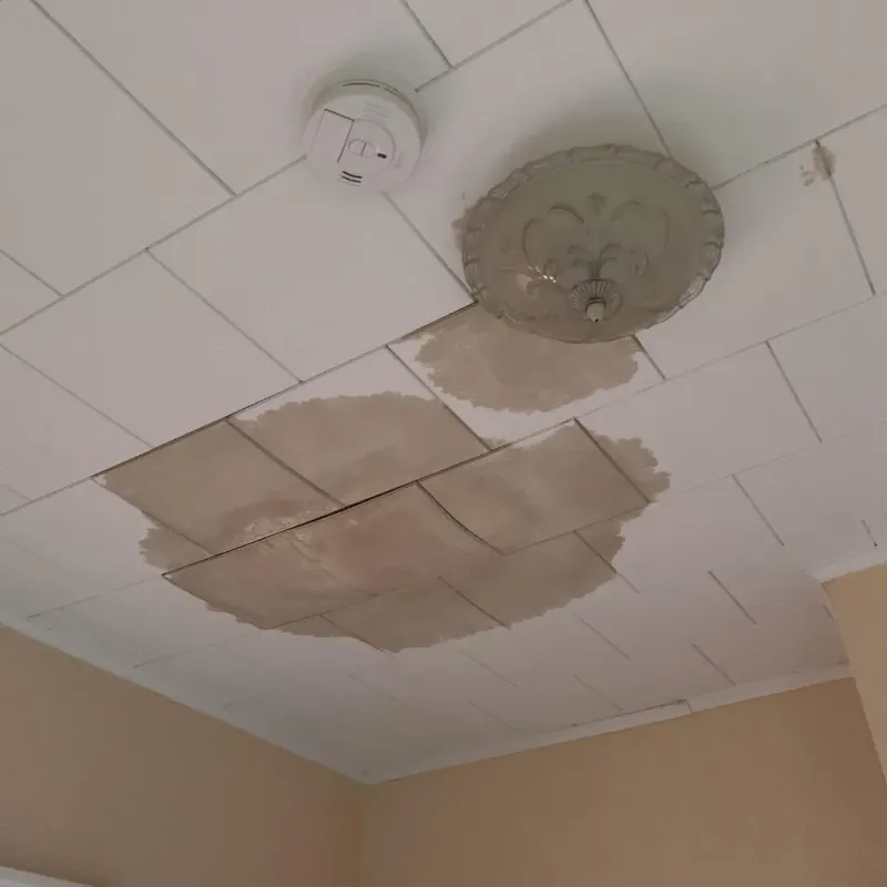 Ceiling Water Damage Repair in Beckley, WV