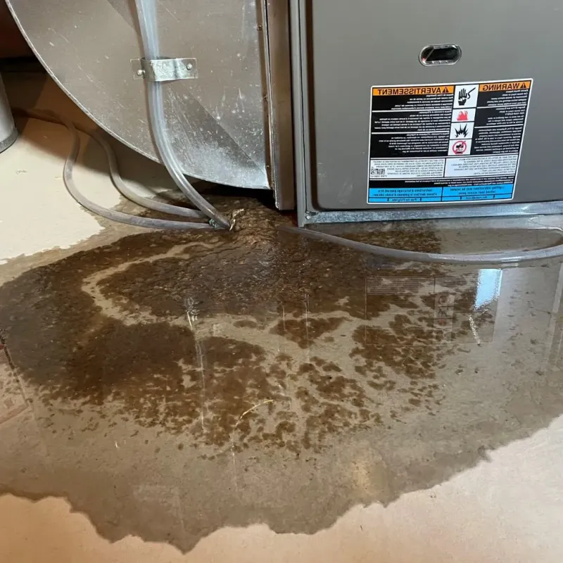 Pipe Burst and Leak Restoration in Beckley, WV