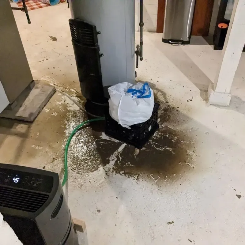 Sewage Backup Cleanup Service in Beckley, WV